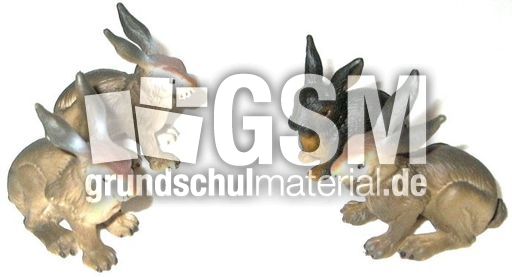 Hasen2+2.jpg